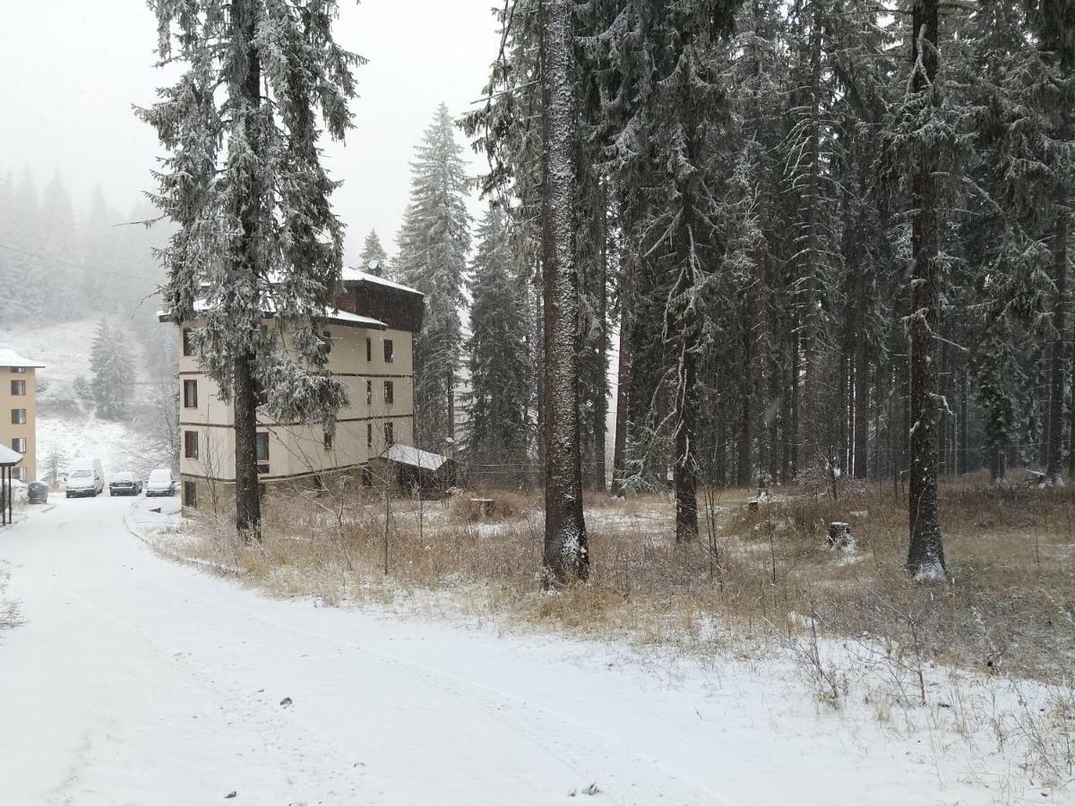 Evrika Forest Pamporovo Exterior photo